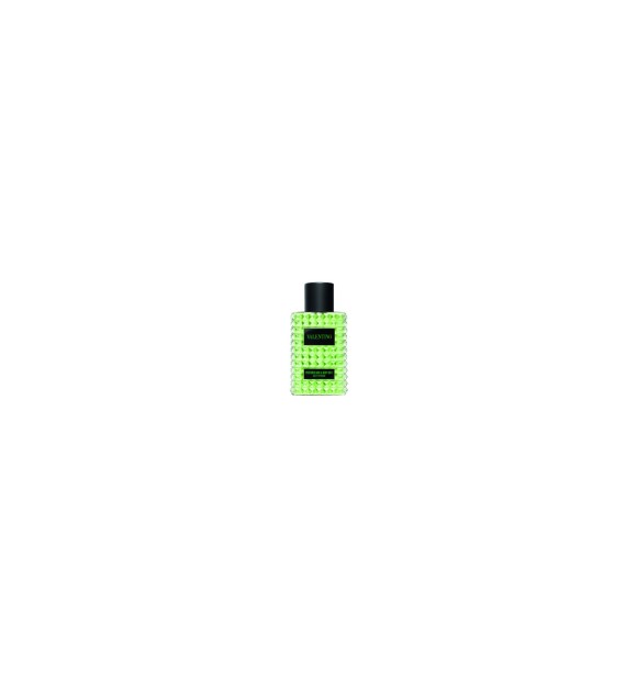 Valentino Born in Roma Green Salty Pistacchio Hair and Body Mist 100 ml