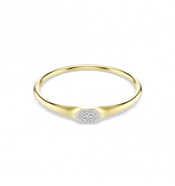 DEXTERA:BANGLE TAG CRE/GOS M