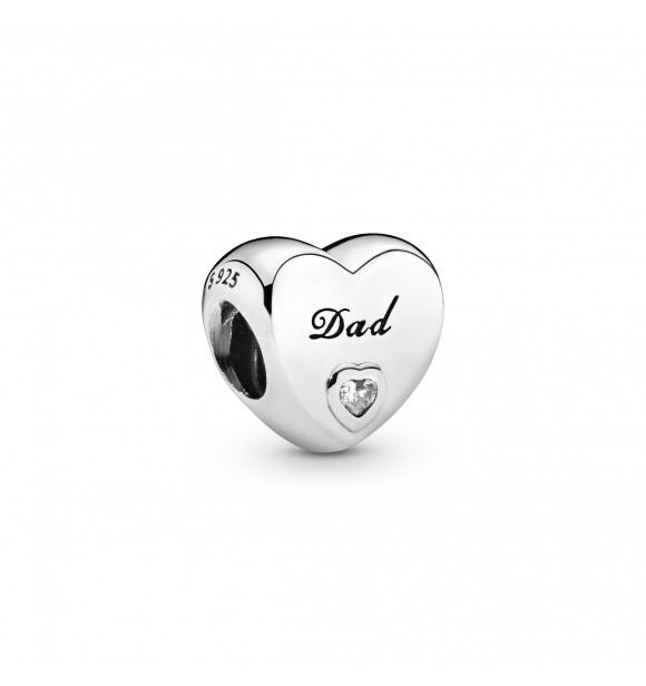 PANDORA CHARMS Sterling silver Moments (charm concept)