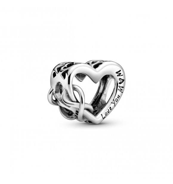 PANDORA  Charm 798825C00 Sterling silver Moments (charm concept)