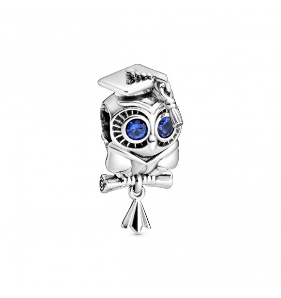 PANDORA  Charm 798907C01 Sterling silver Moments (charm concept)